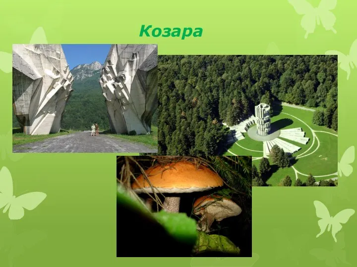 Козара