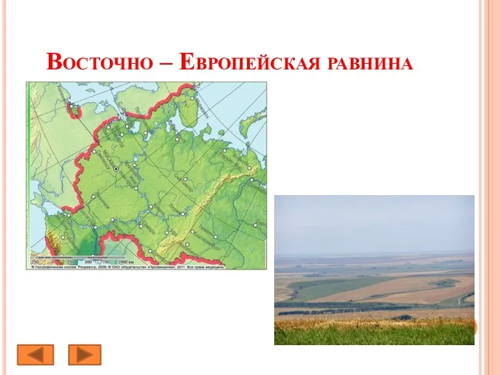 Восточно – Европейская равнина