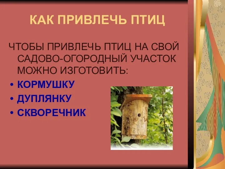 КАК ПРИВЛЕЧЬ ПТИЦ ЧТОБЫ ПРИВЛЕЧЬ ПТИЦ НА СВОЙ САДОВО-ОГОРОДНЫЙ УЧАСТОК МОЖНО ИЗГОТОВИТЬ: КОРМУШКУ ДУПЛЯНКУ СКВОРЕЧНИК