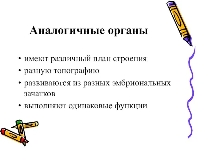 Аналогичные органы имеют различный план строения разную топографию развиваются из разных эмбриональных зачатков выполняют одинаковые функции