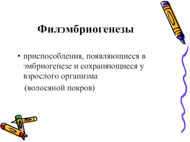 Филэмбриогенезы приспособления, появляющиеся в эмбриогенезе и сохраняющиеся у взрослого организма (волосяной покров)