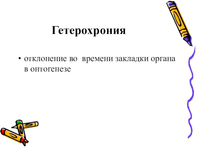 Гетерохрония отклонение во времени закладки органа в онтогенезе