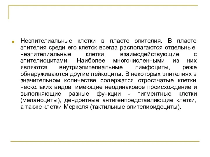 Неэпителиальные клетки в пласте эпителия. В пласте эпителия среди его