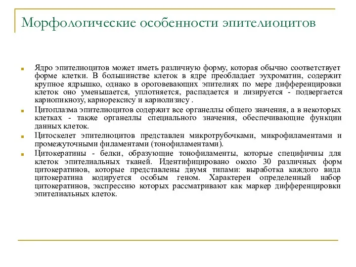 Морфологические особенности эпителиоцитов Ядро эпителиоцитов может иметь различную форму, которая