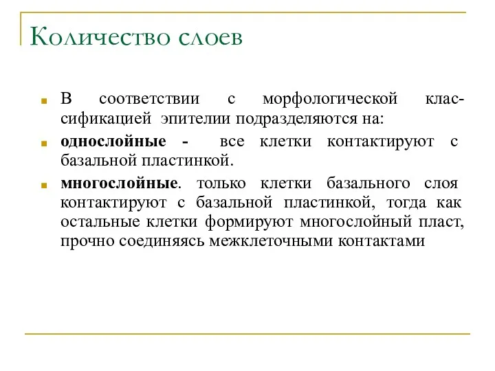 Количество слоев В соответствии с морфологической клас-сификацией эпителии подразделяются на: