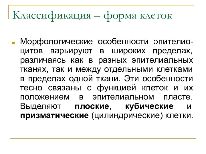 Классификация – форма клеток Морфологические особенности эпителио-цитов варьируют в широких