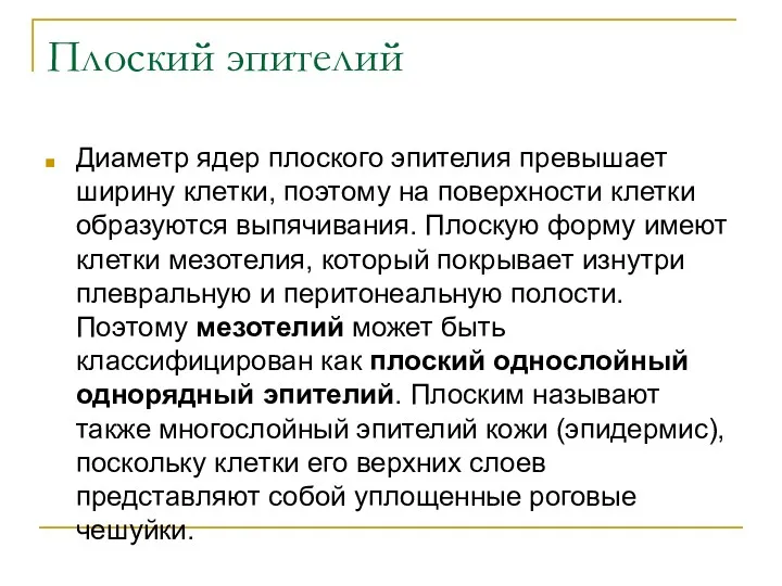 Плоский эпителий Диаметр ядер плоского эпителия превышает ширину клетки, поэтому