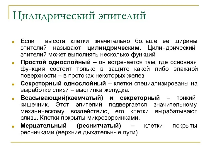 Цилидрический эпителий Если высота клетки значительно больше ее ширины эпителий