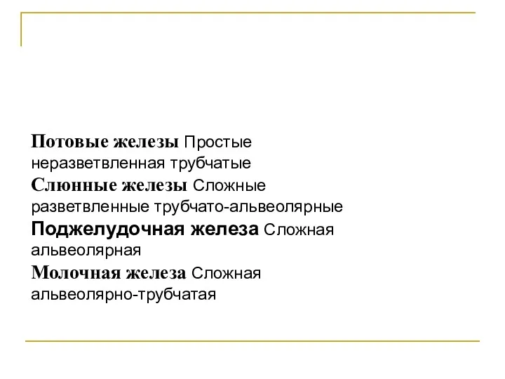 Потовые железы Простые неразветвленная трубчатые Слюнные железы Сложные разветвленные трубчато-альвеолярные