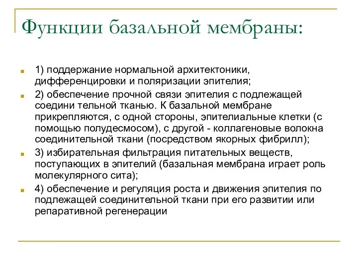 Функции базальной мембраны: 1) поддержание нормальной архитектоники, дифференцировки и поляризации