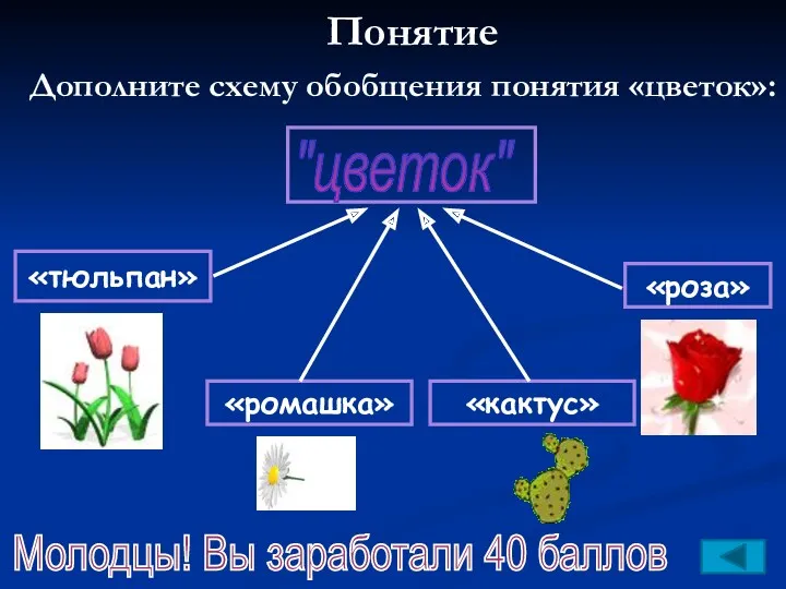 Понятие Молодцы! Вы заработали 40 баллов "цветок" «тюльпан» «ромашка» «кактус» «роза» Дополните схему обобщения понятия «цветок»: