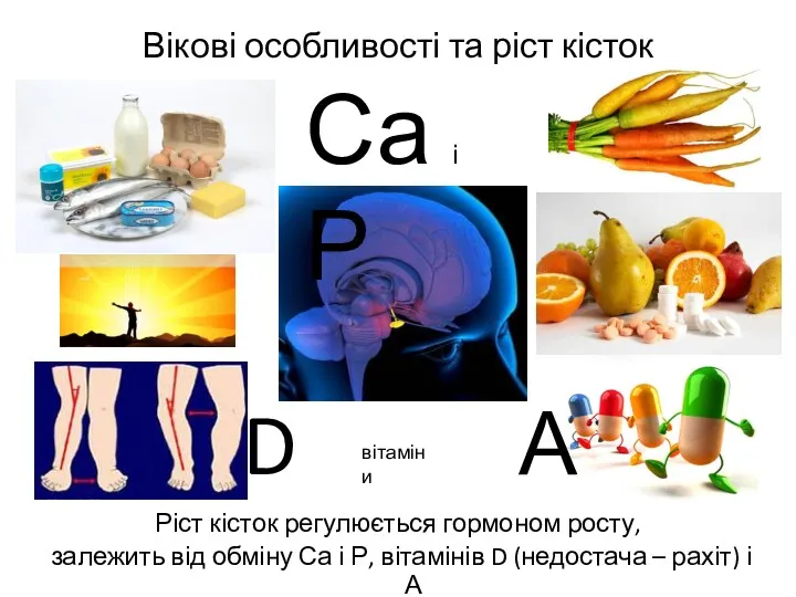 Вікові особливості та ріст кісток Ріст кісток регулюється гормоном росту,