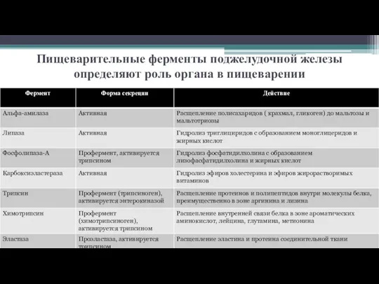 Пищеварительные ферменты поджелудочной железы определяют роль органа в пищеварении