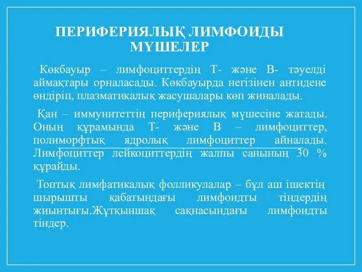 ПЕРИФЕРИЯЛЫҚ ЛИМФОИДЫ МҮШЕЛЕР Көкбауыр – лимфоциттердің Т- және В- тәуелді