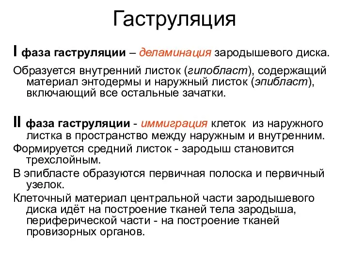 Гаструляция I фаза гаструляции – деламинация зародышевого диска. Образуется внутренний