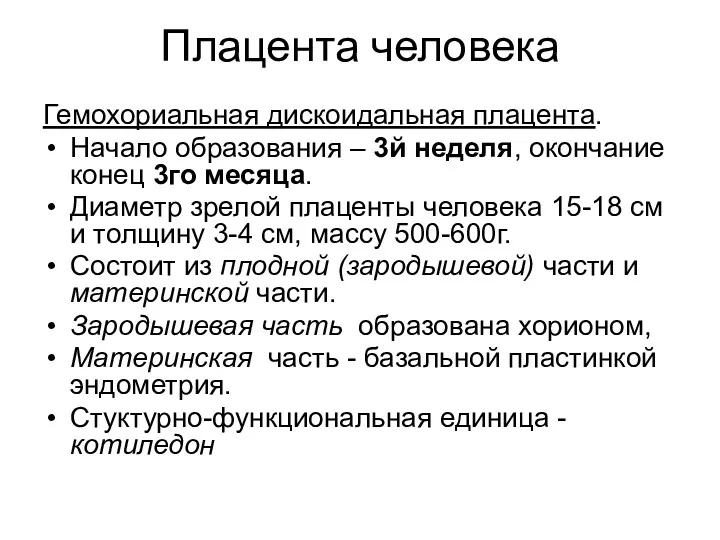 Плацента человека Гемохориальная дискоидальная плацента. Начало образования – 3й неделя,