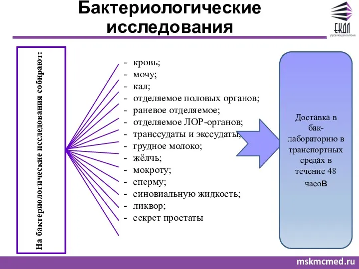 mskmcmed.ru Бактериологические исследования На бактериологические исследования собирают: кровь; мочу; кал;