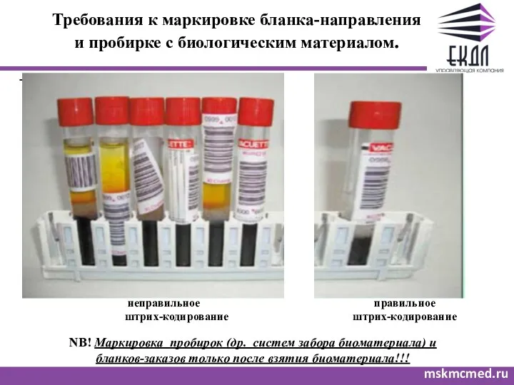 Требования к маркировке бланка-направления и пробирке с биологическим материалом. mskmcmed.ru