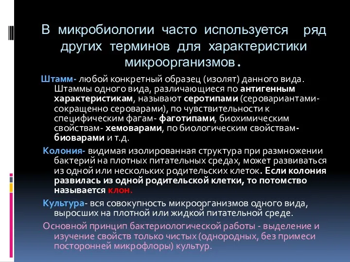 В микробиологии часто используется ряд других терминов для характеристики микроорганизмов.