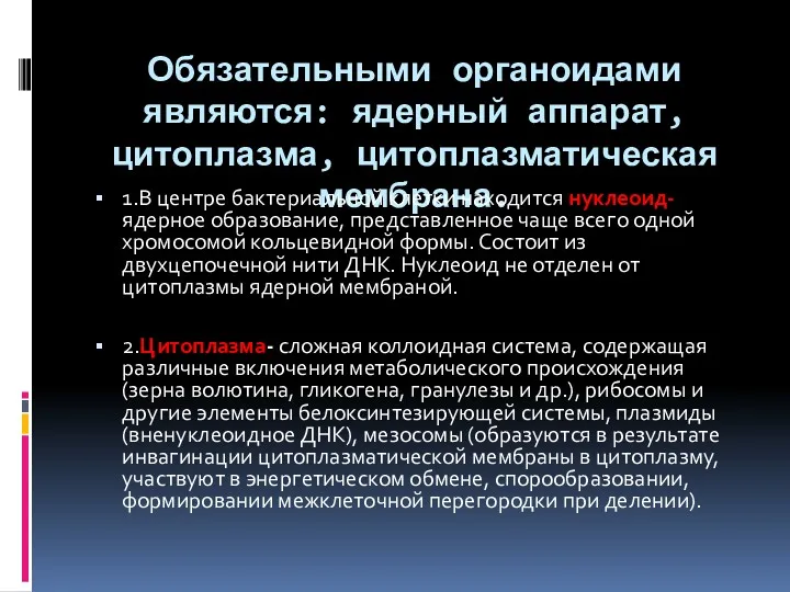 Обязательными органоидами являются: ядерный аппарат, цитоплазма, цитоплазматическая мембрана. 1.В центре