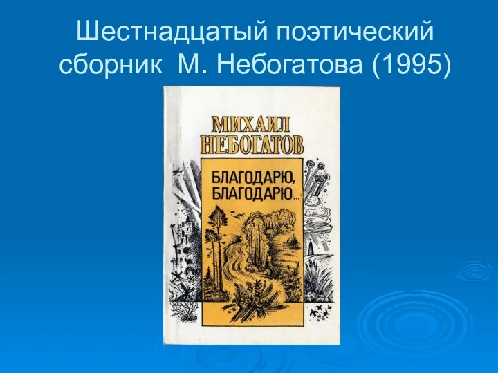 Шестнадцатый поэтический сборник М. Небогатова (1995)