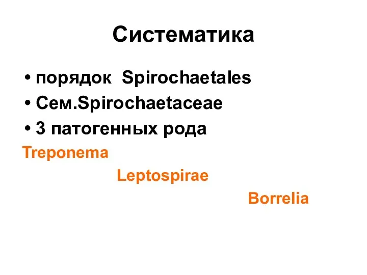 Систематика порядок Spirochaetales Сем.Spirochaetaceae 3 патогенных рода Treponema Leptospirae Borrelia