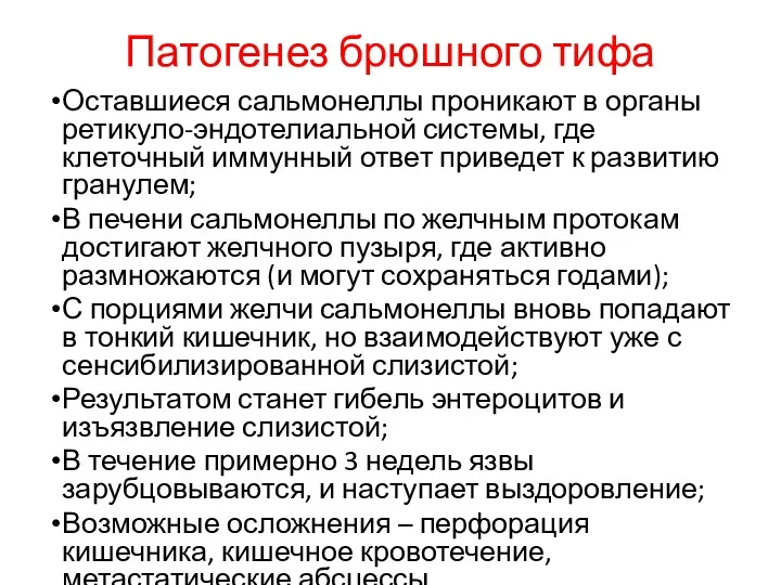 Патогенез брюшного тифа Оставшиеся сальмонеллы проникают в органы ретикуло-эндотелиальной системы,