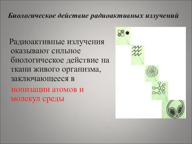 Радиоактивные излучения оказывают сильное биологическое действие на ткани живого организма,