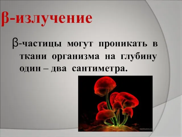 β-излучение β-частицы могут проникать в ткани организма на глубину один – два сантиметра.