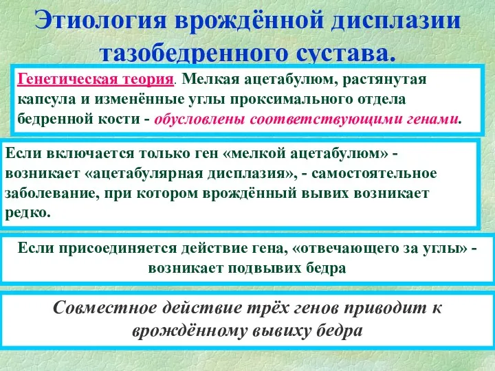 Этиология врождённой дисплазии тазобедренного сустава. Генетическая теория. Мелкая ацетабулюм, растянутая