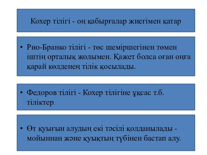 Кохер тілігі - оң қабырғалар жиегімен қатар Рио-Бранко тілігі - төс шеміршегінен төмен