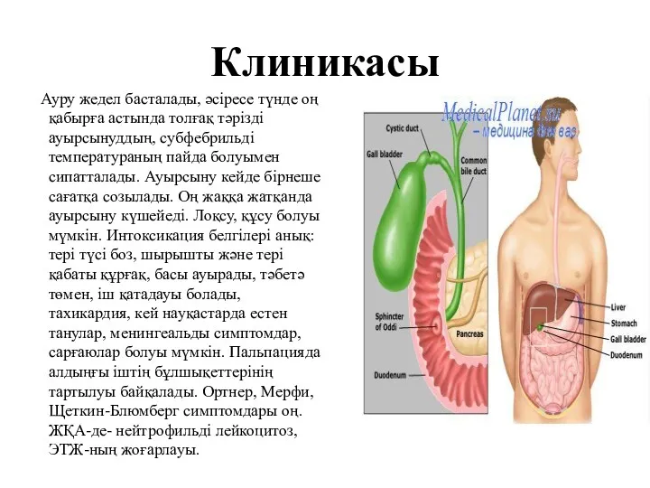 Клиникасы Ауру жедел басталады, әсіресе түнде оң қабырға астында толғақ тәрізді ауырсынуддың, субфебрильді