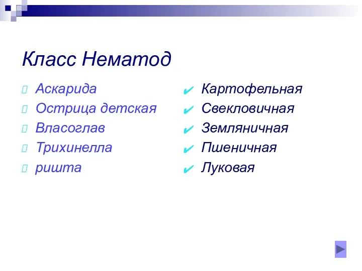 Класс Нематод Аскарида Острица детская Власоглав Трихинелла ришта Картофельная Свекловичная Земляничная Пшеничная Луковая