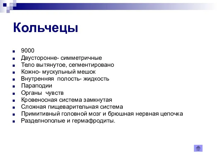 Кольчецы 9000 Двусторонне- симметричные Тело вытянутое, сегментировано Кожно- мускульный мешок