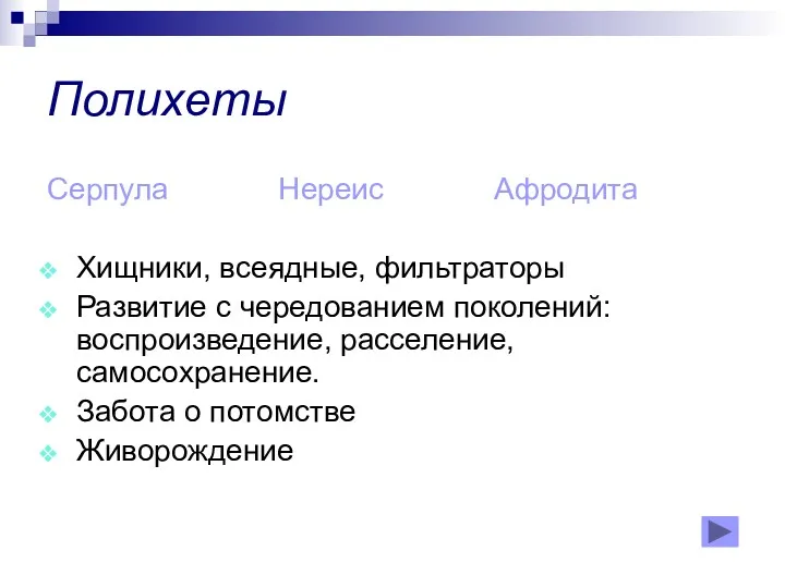 Полихеты Серпула Нереис Афродита Хищники, всеядные, фильтраторы Развитие с чередованием