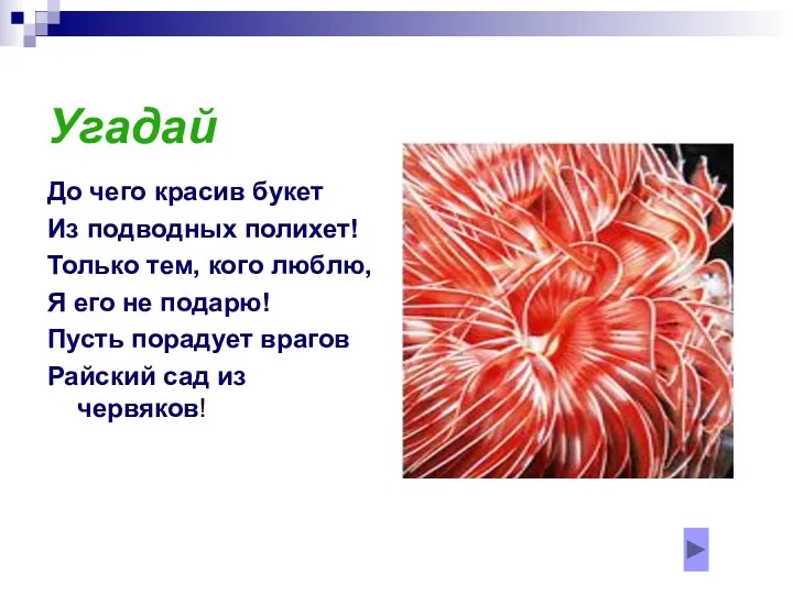 Угадай До чего красив букет Из подводных полихет! Только тем,