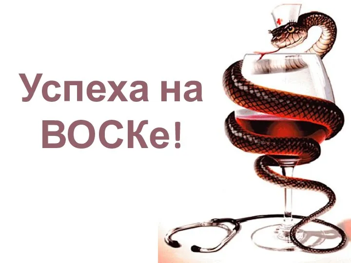 Успеха на ВОСКе!