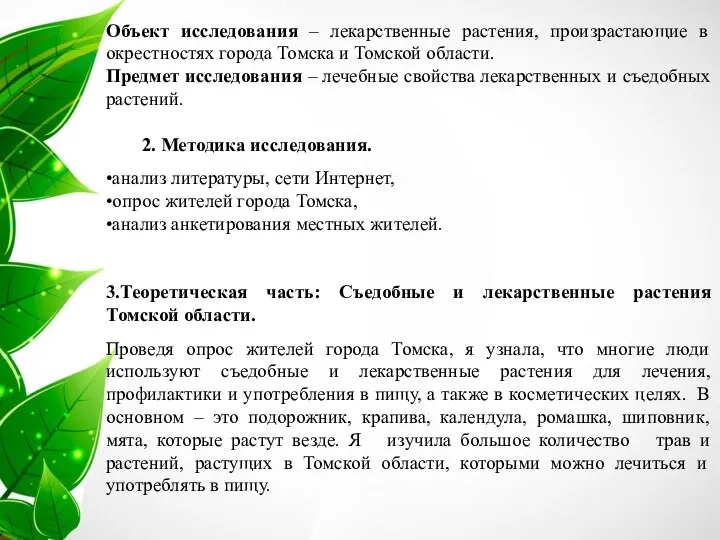 Объект исследования – лекарственные растения, произрастающие в окрестностях города Томска