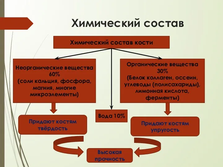 Химический состав Химический состав кости Неорганические вещества 60% (соли кальция,