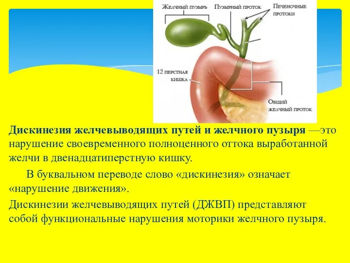 Дискинезия желчевыводящих путей и желчного пузыря —это нарушение своевременного полноценного