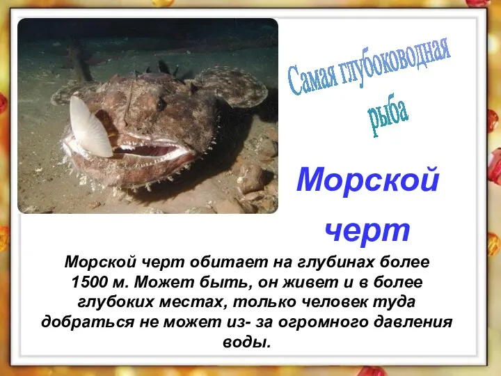 Морской черт обитает на глубинах более 1500 м. Может быть,