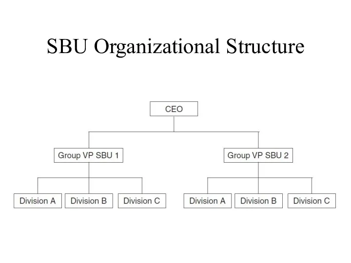 SBU Organizational Structure