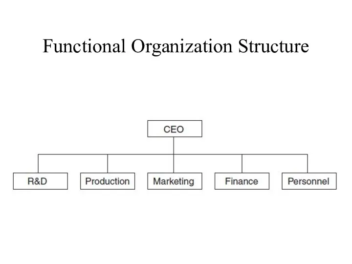 Functional Organization Structure