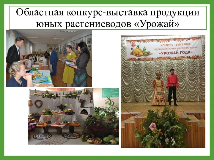 Областная конкурс-выставка продукции юных растениеводов «Урожай»
