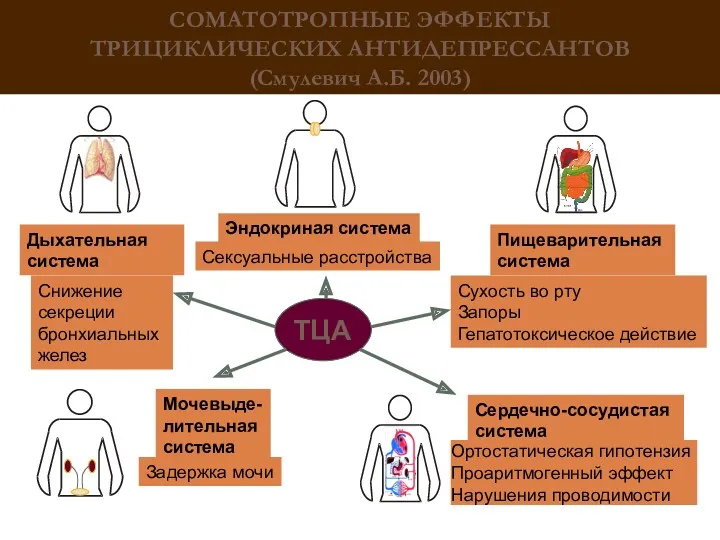 СОМАТОТРОПНЫЕ ЭФФЕКТЫ ТРИЦИКЛИЧЕСКИХ АНТИДЕПРЕССАНТОВ (Смулевич А.Б. 2003) Дыхательная система Сердечно-сосудистая