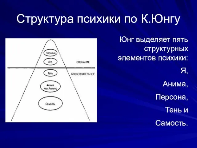 Структура психики по К.Юнгу Юнг выделяет пять структурных элементов психики: Я, Анима, Персона, Тень и Самость.