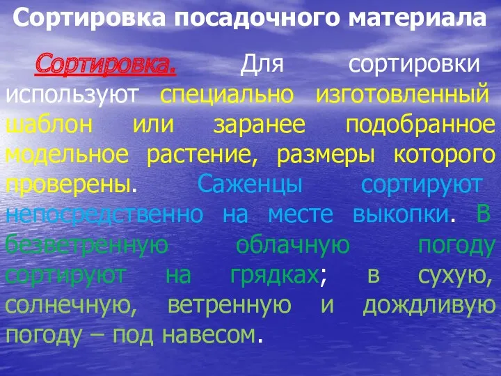 Сортировка посадочного материала Сортировка. Для сортировки используют специально изготовленный шаблон