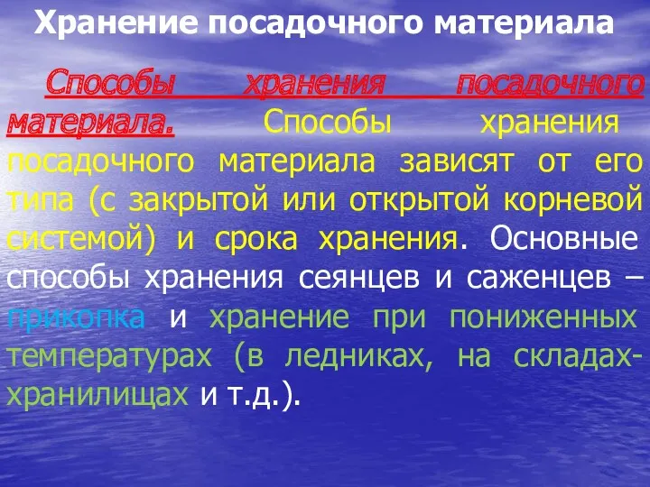 Хранение посадочного материала Способы хранения посадочного материала. Способы хранения посадочного