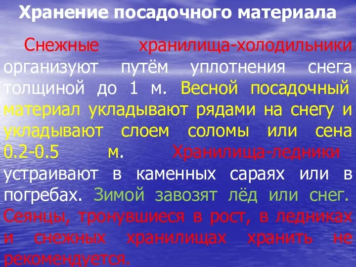 Хранение посадочного материала Снежные хранилища-холодильники организуют путём уплотнения снега толщиной