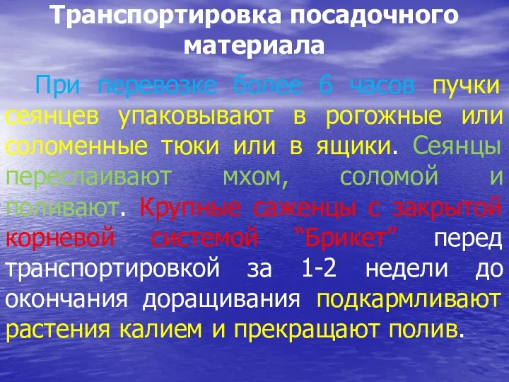 Транспортировка посадочного материала При перевозке более 6 часов пучки сеянцев